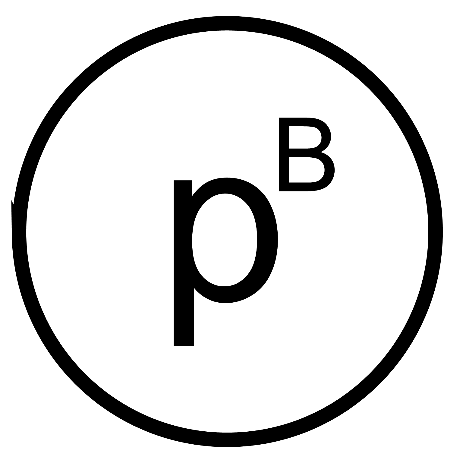 Proton Bravo LLC